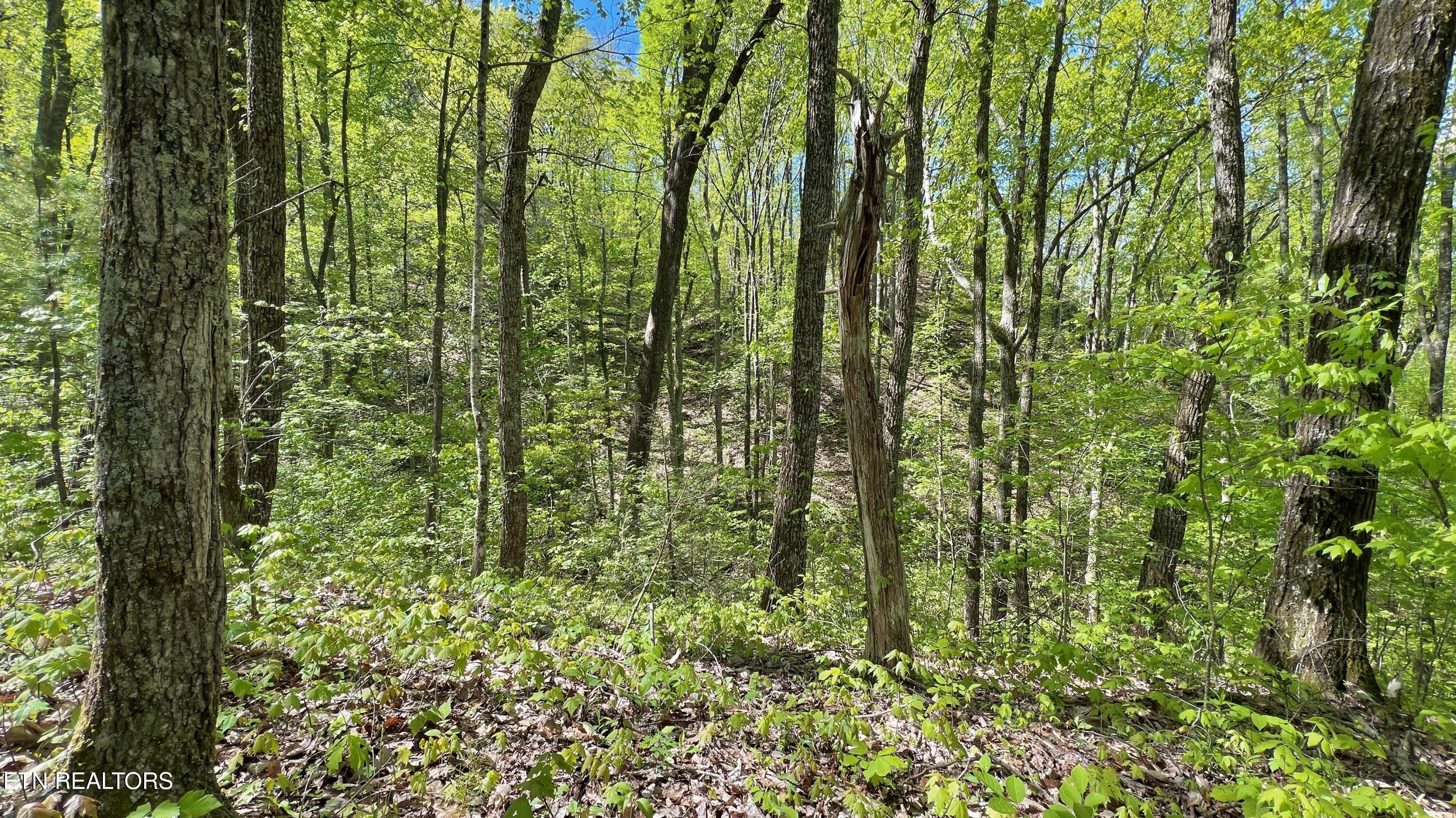 981 Critter Valley Way Newport TN 37821