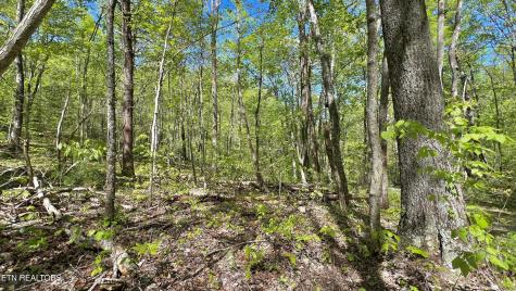 981 Critter Valley Way Newport TN 37821