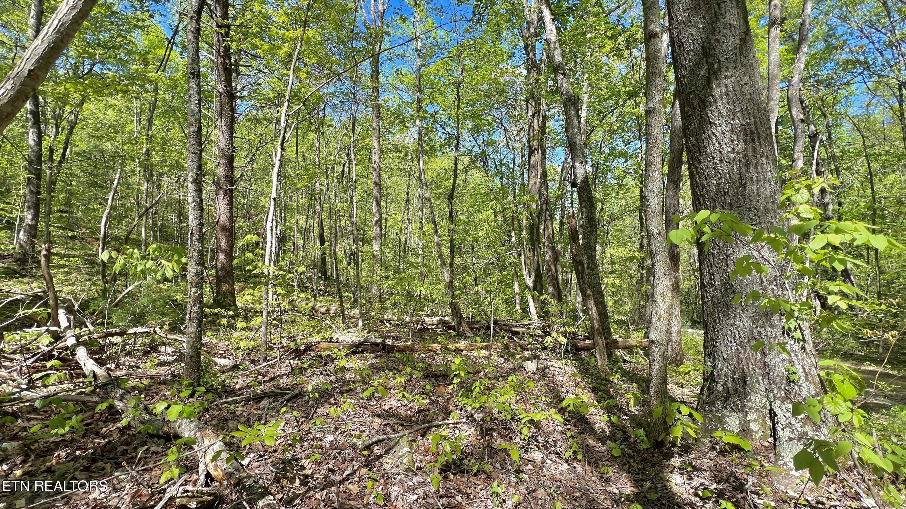 981 Critter Valley Way Newport TN 37821