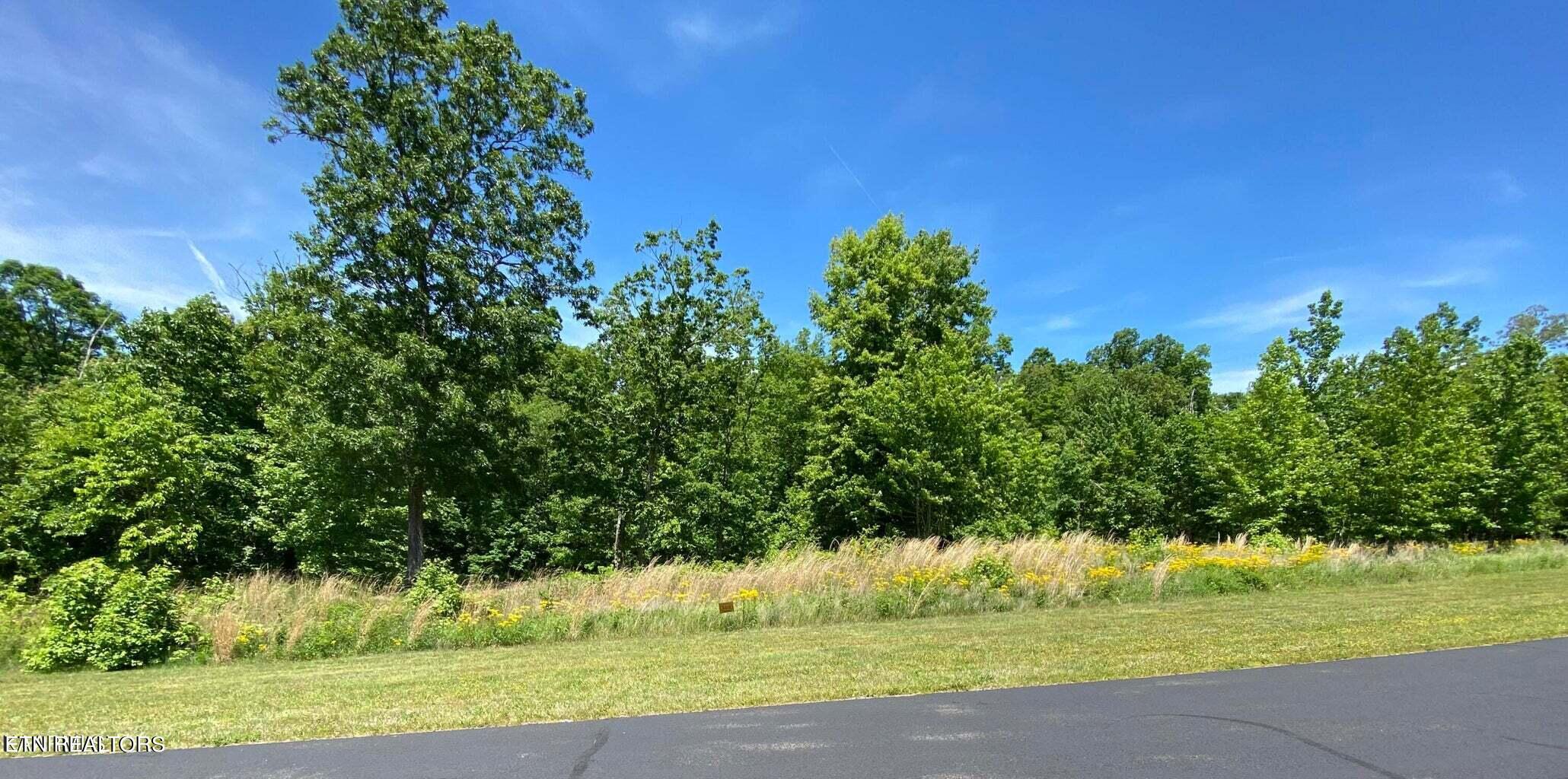 Water View Drive Rockwood TN 37854