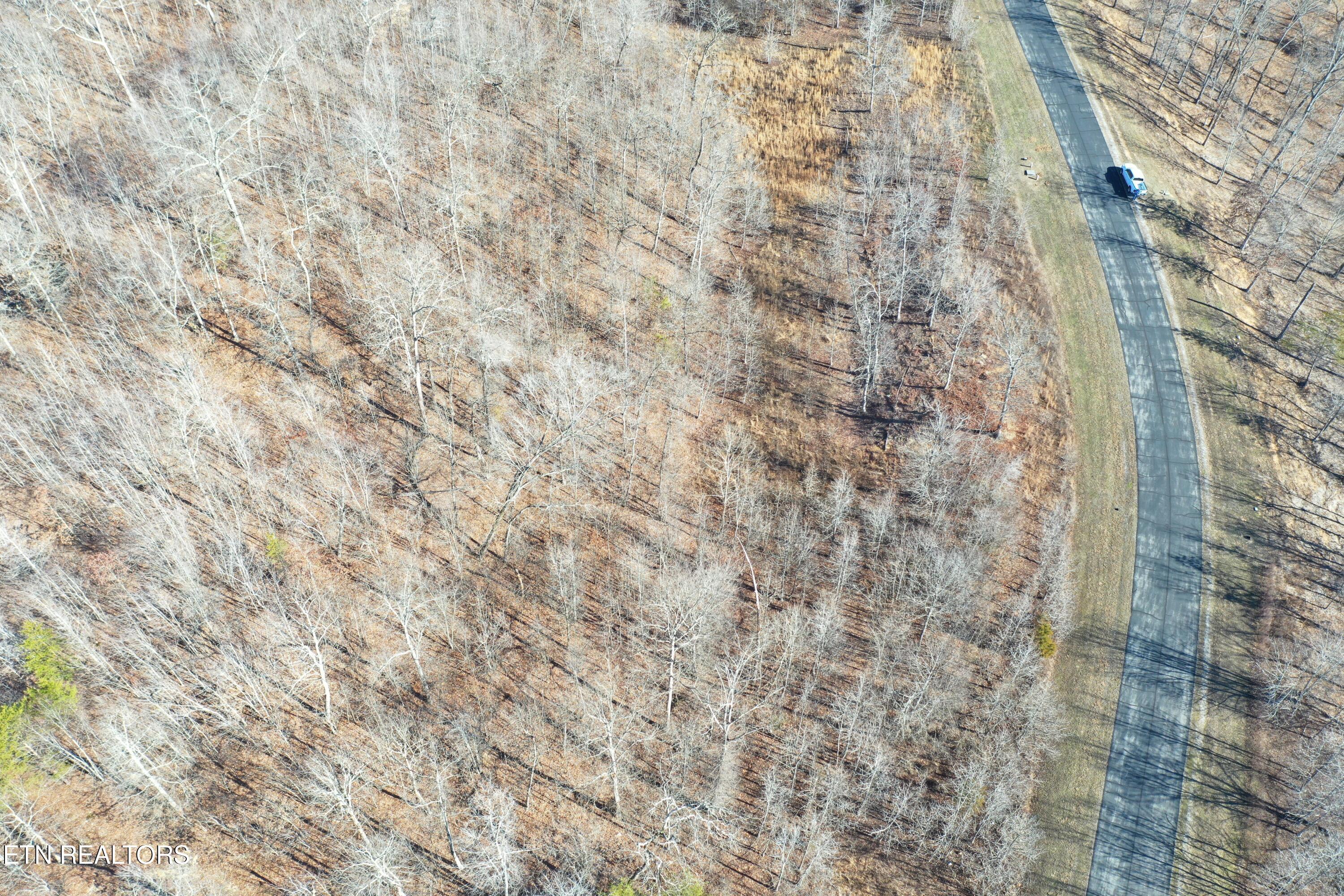 Water View Drive Rockwood TN 37854