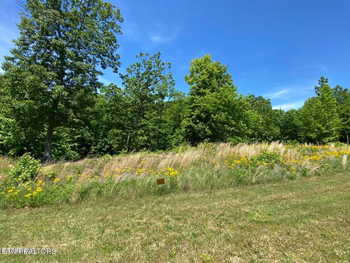 Water View Drive Rockwood TN 37854