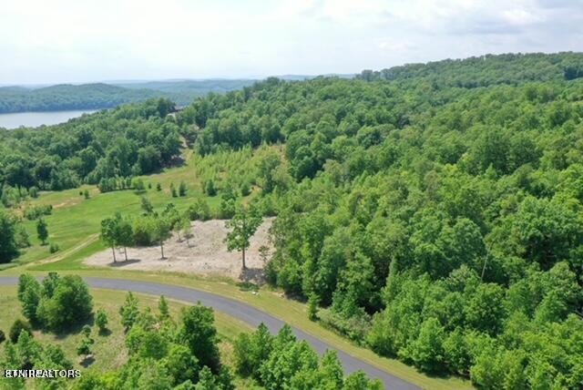 Water View Drive Rockwood TN 37854