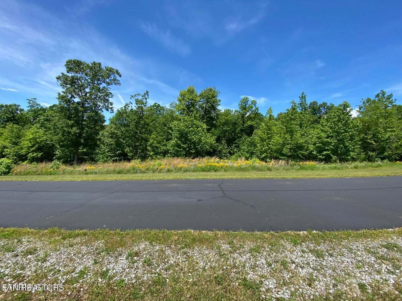 Water View Drive Rockwood TN 37854