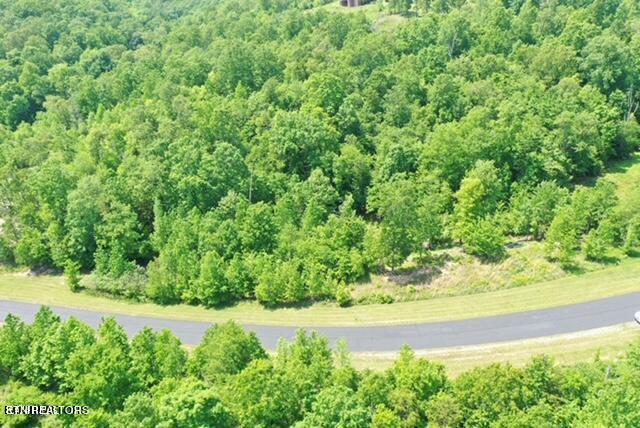 Water View Drive Rockwood TN 37854