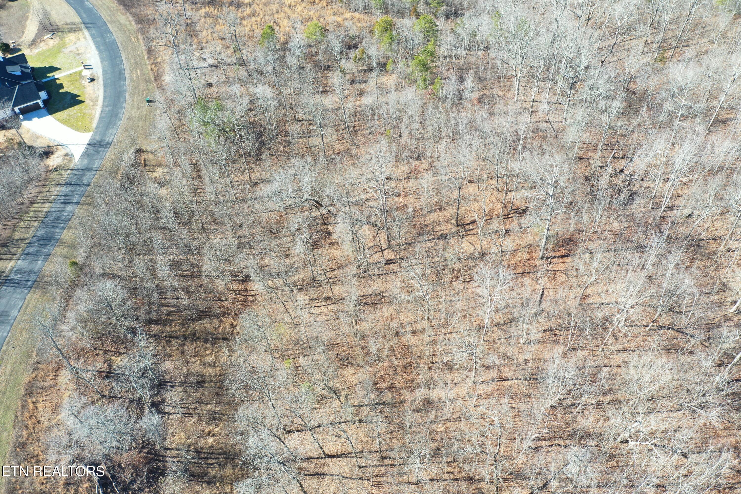 Water View Drive Rockwood TN 37854