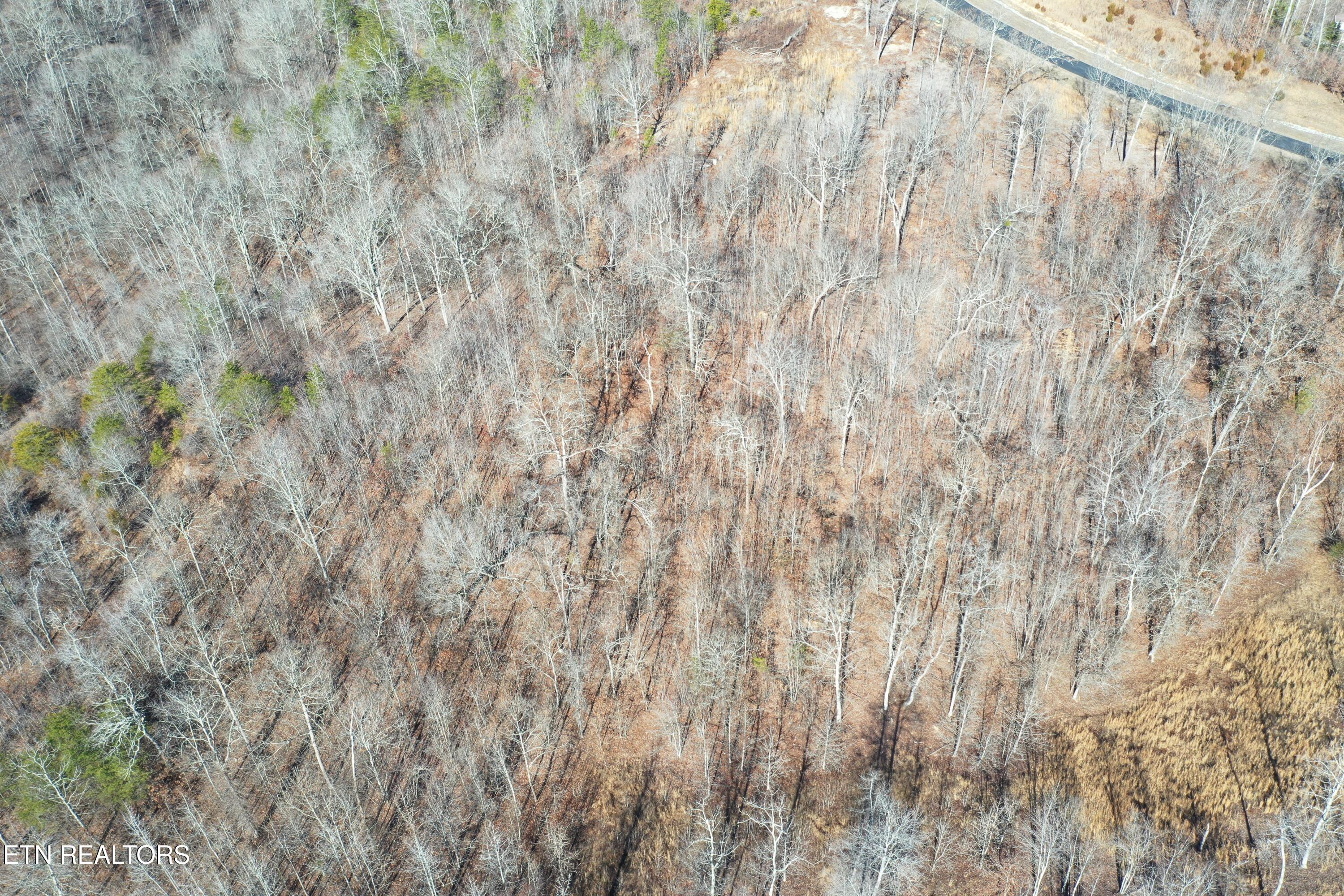 Water View Drive Rockwood TN 37854