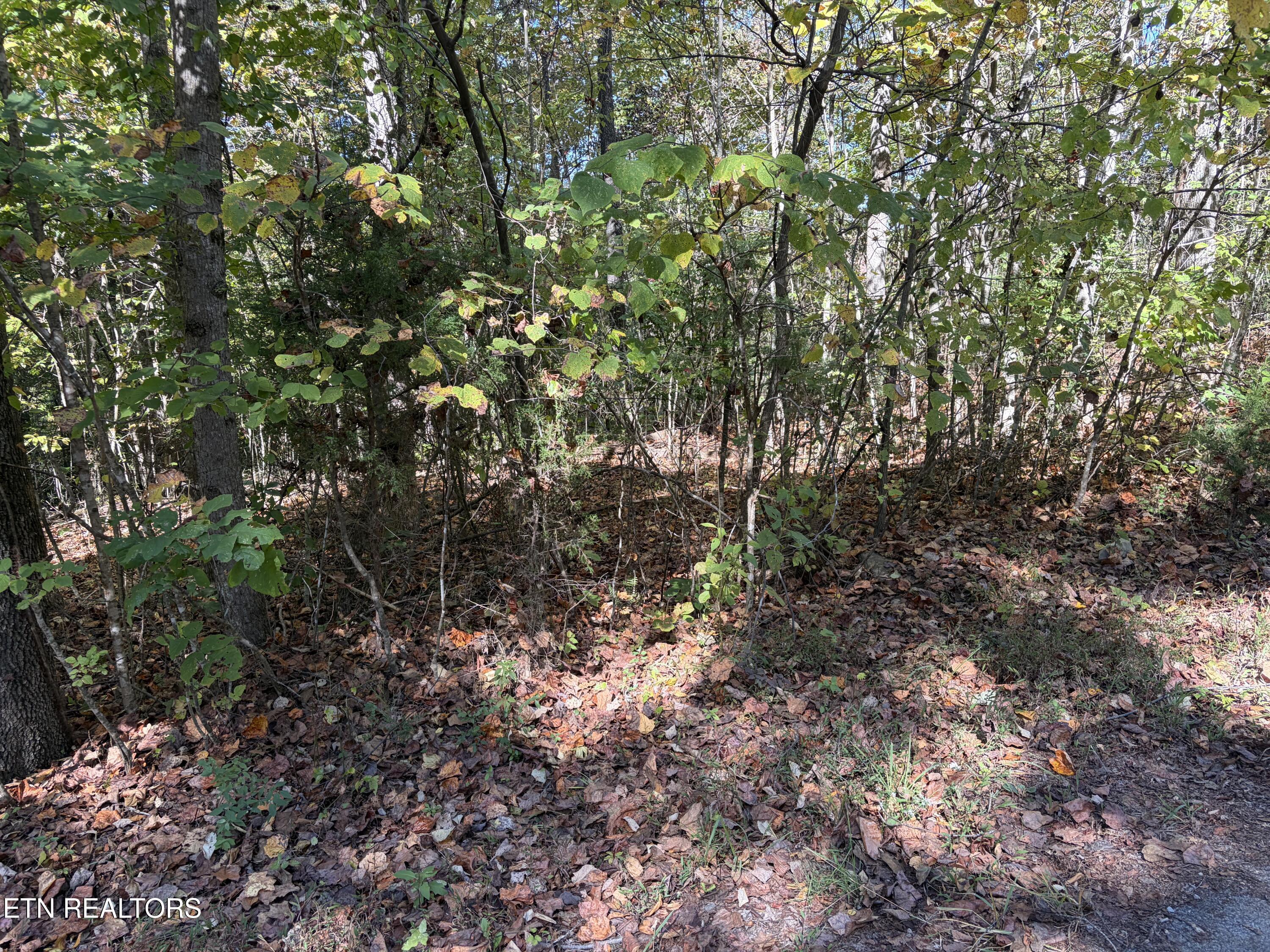 Lot 222 Jade Lane New Tazewell TN 37825