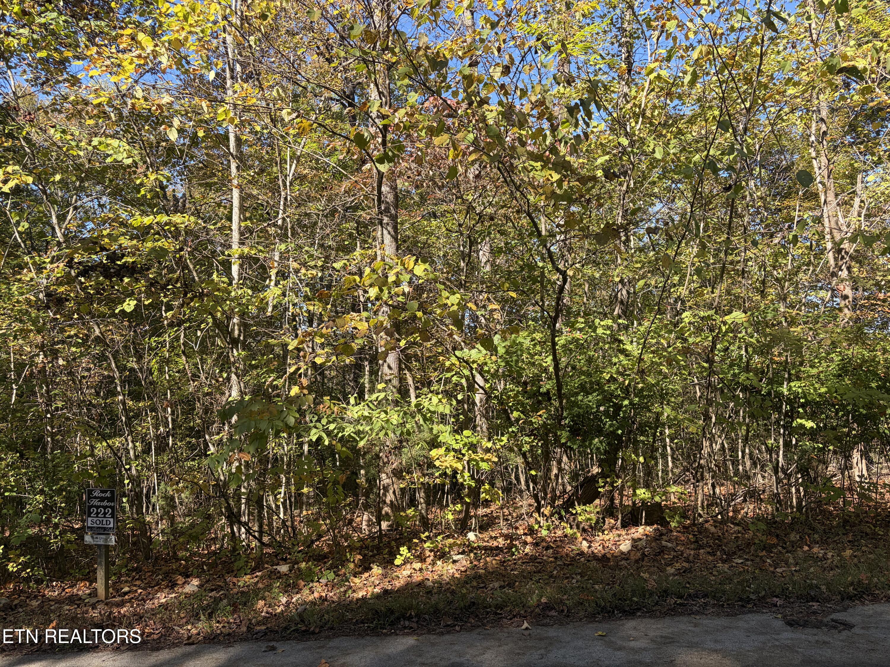Lot 222 Jade Lane New Tazewell TN 37825