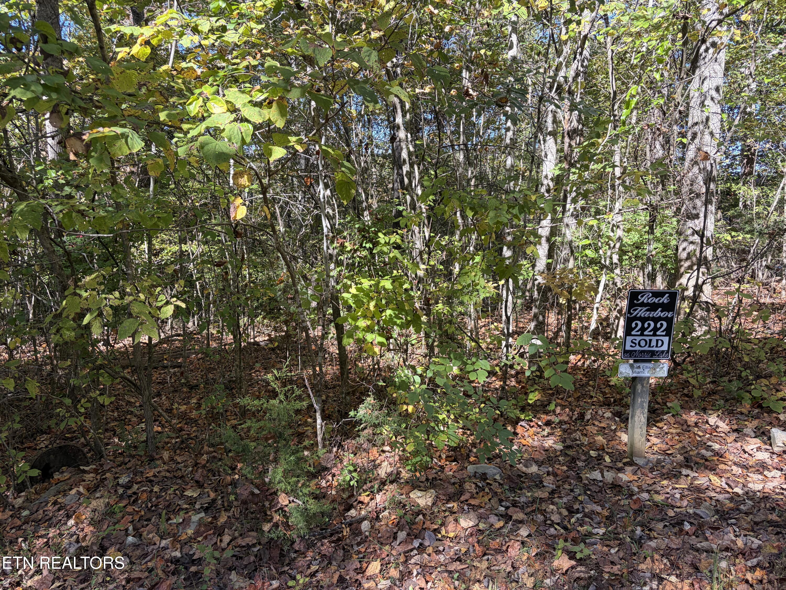 Lot 222 Jade Lane New Tazewell TN 37825