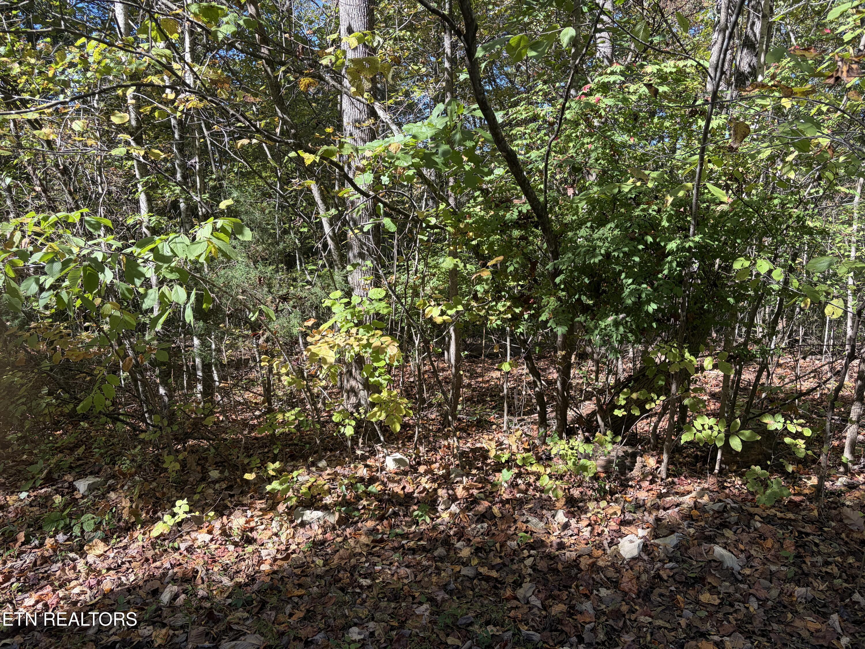 Lot 222 Jade Lane New Tazewell TN 37825