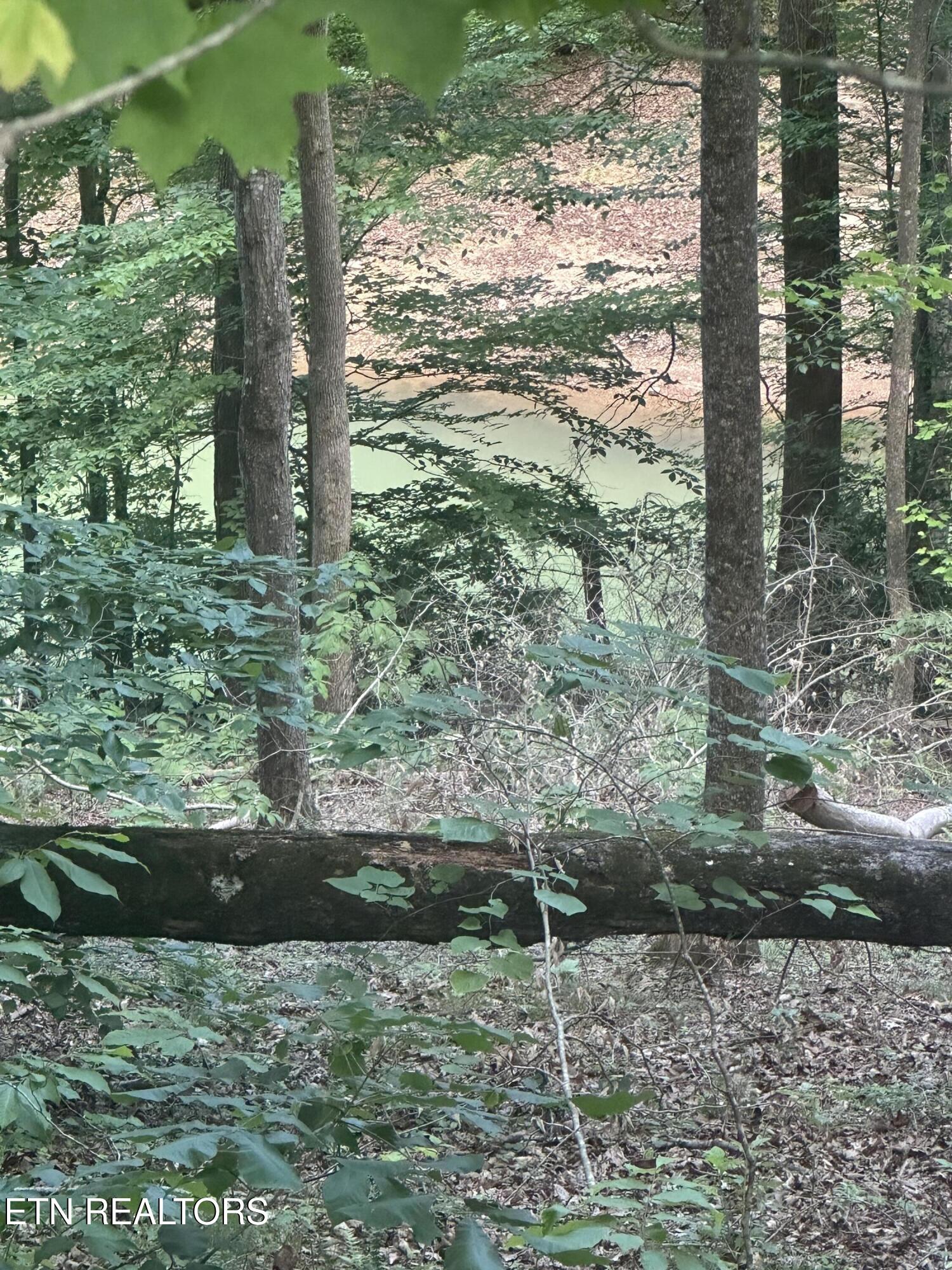 Hiwassee View - Lot 56 Drive Jacksboro TN 37757