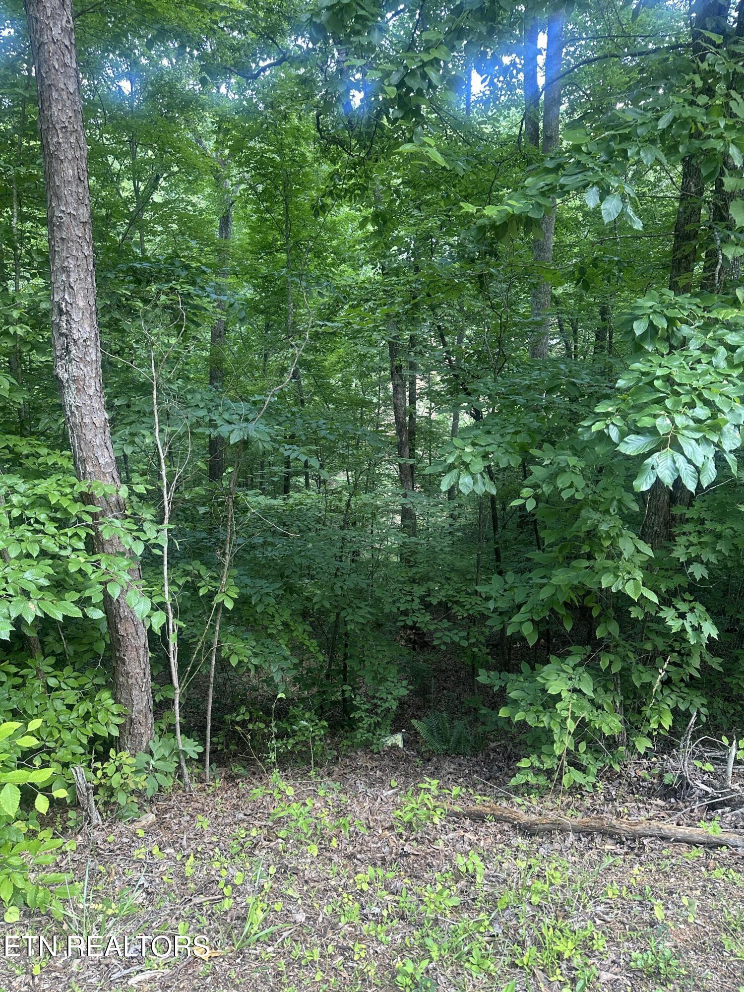 Hiwassee View - Lot 56 Drive Jacksboro TN 37757