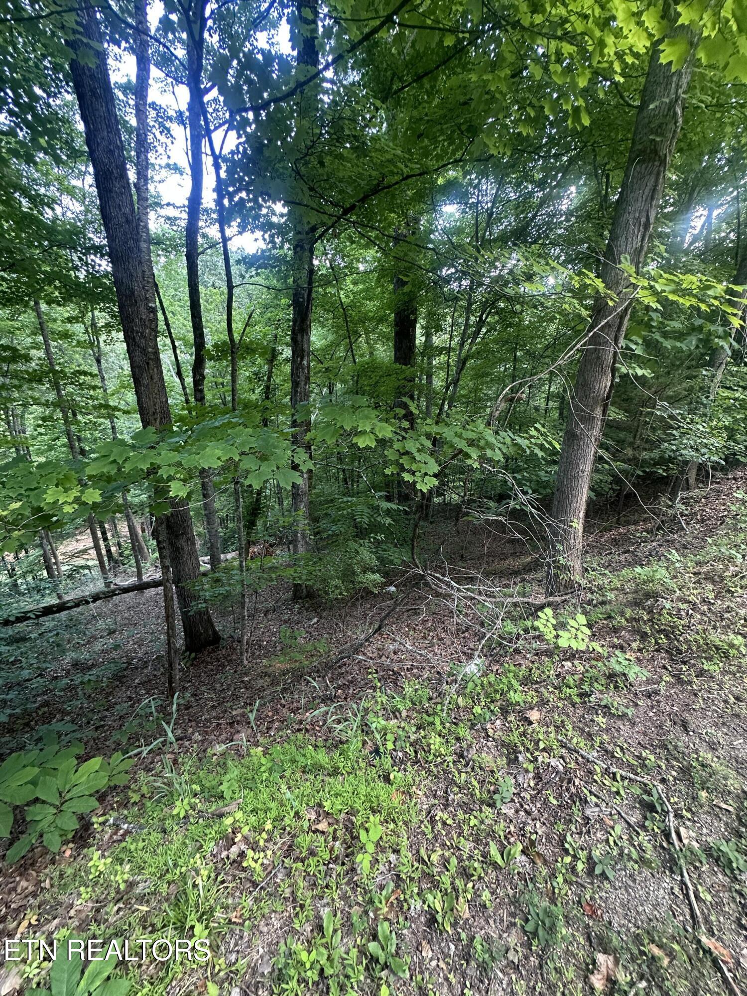 Hiwassee View - Lot 56 Drive Jacksboro TN 37757