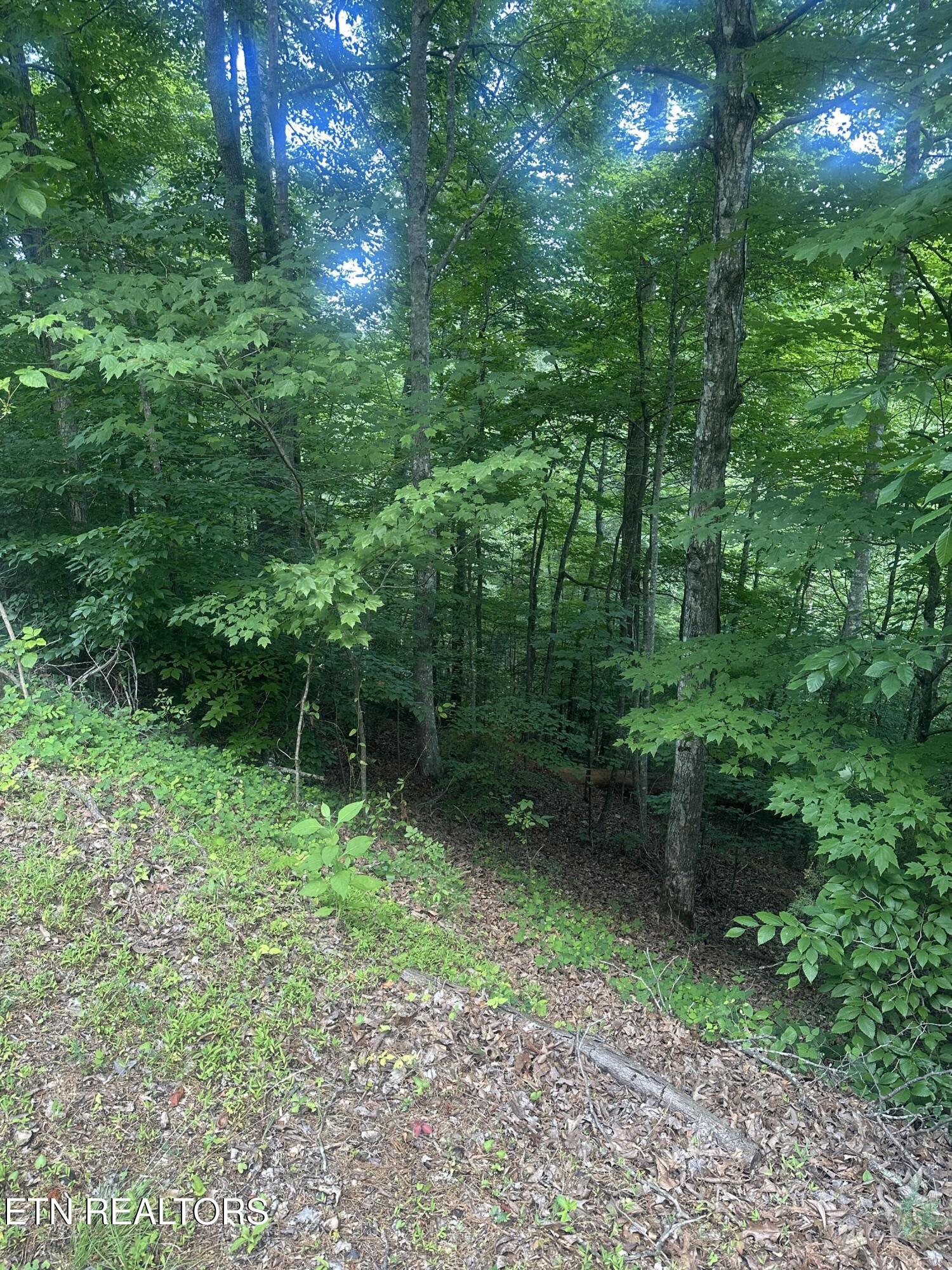 Hiwassee View - Lot 56 Drive Jacksboro TN 37757
