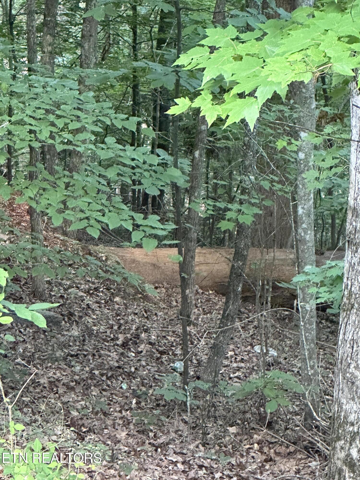 Hiwassee View - Lot 56 Drive Jacksboro TN 37757
