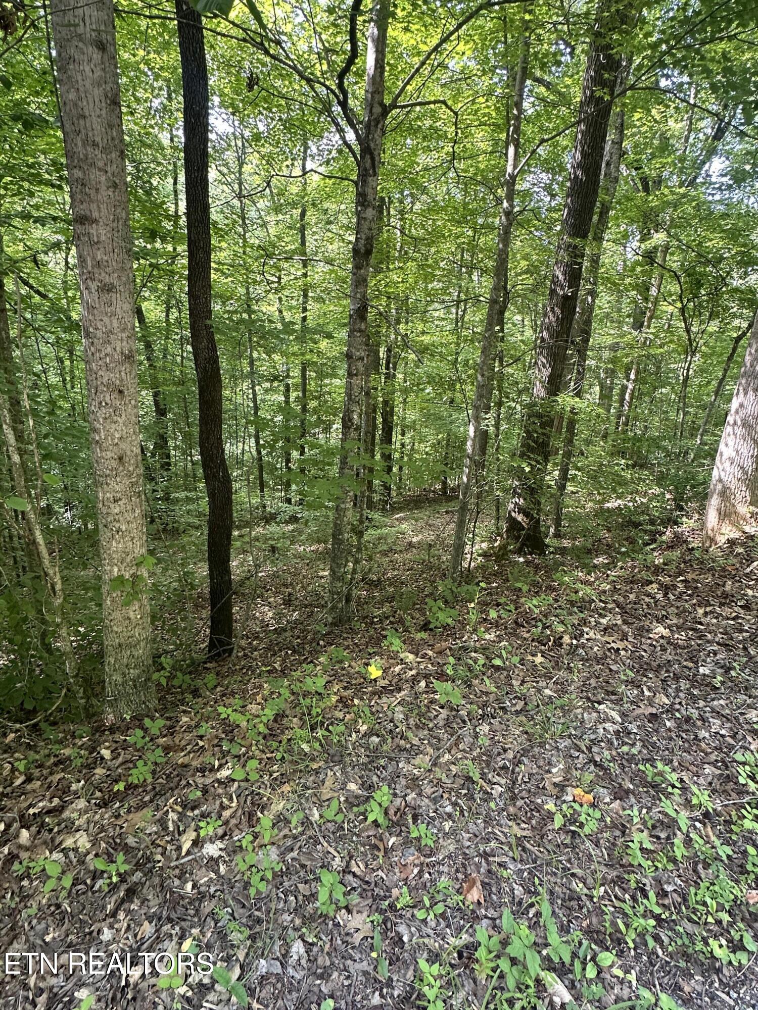 Hiwassee View - Lot 56 Drive Jacksboro TN 37757