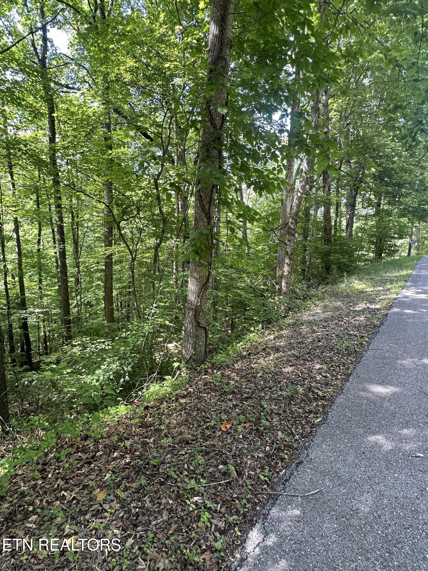 Hiwassee View - Lot 56 Drive Jacksboro TN 37757