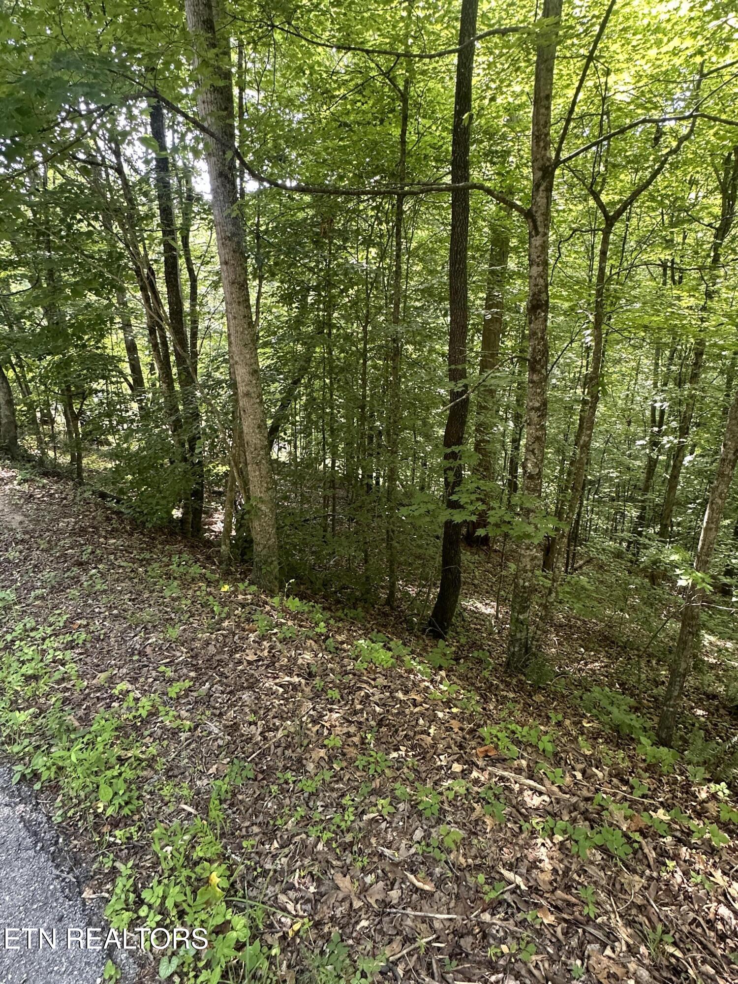 Hiwassee View - Lot 56 Drive Jacksboro TN 37757