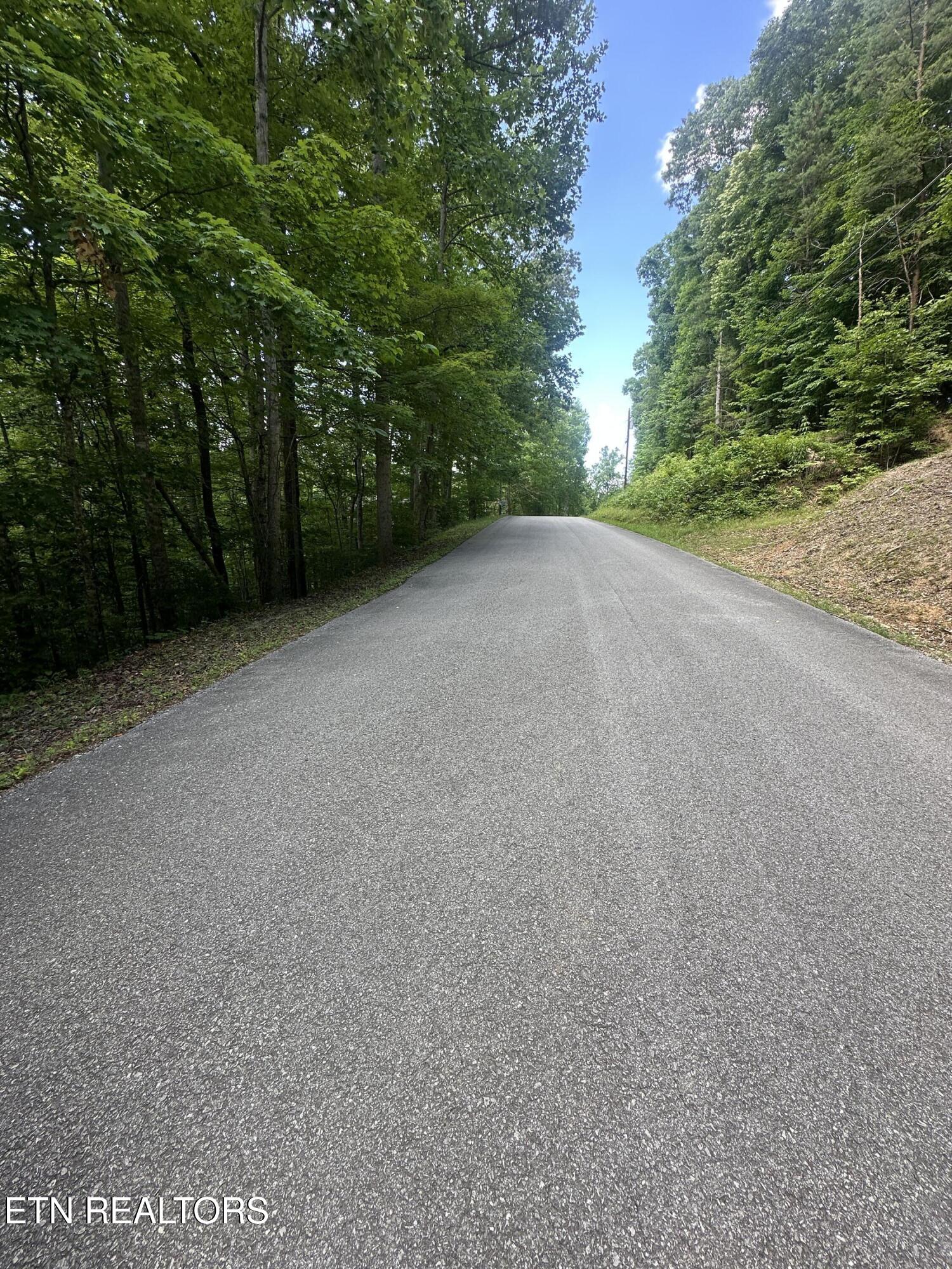 Hiwassee View - Lot 56 Drive Jacksboro TN 37757