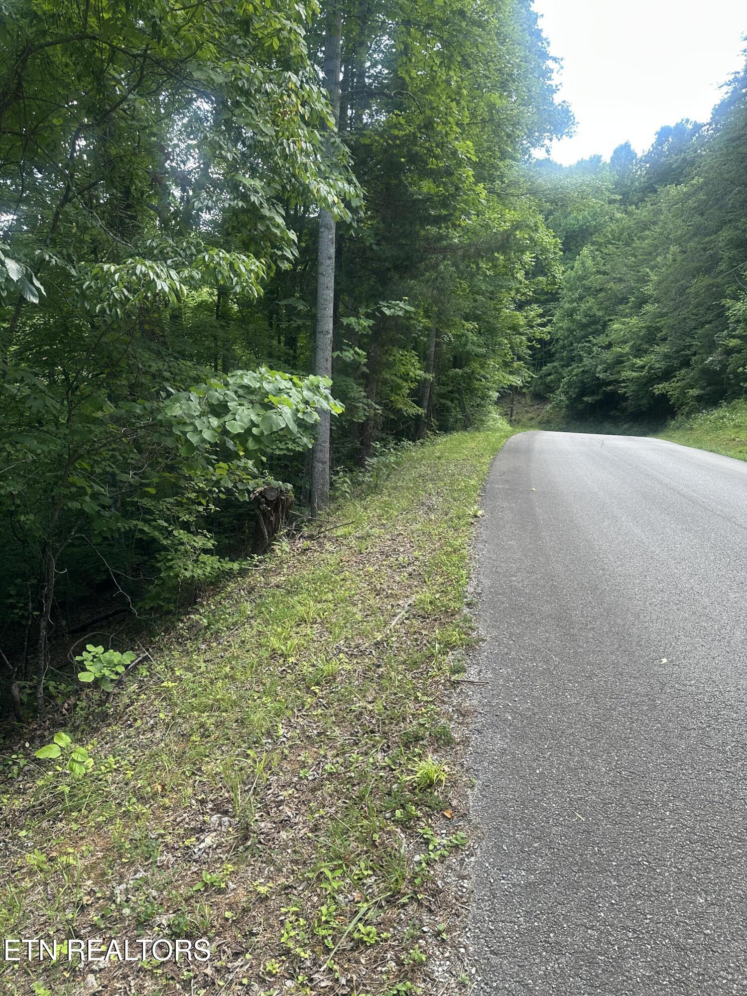 Hiwassee View - Lot 56 Drive Jacksboro TN 37757