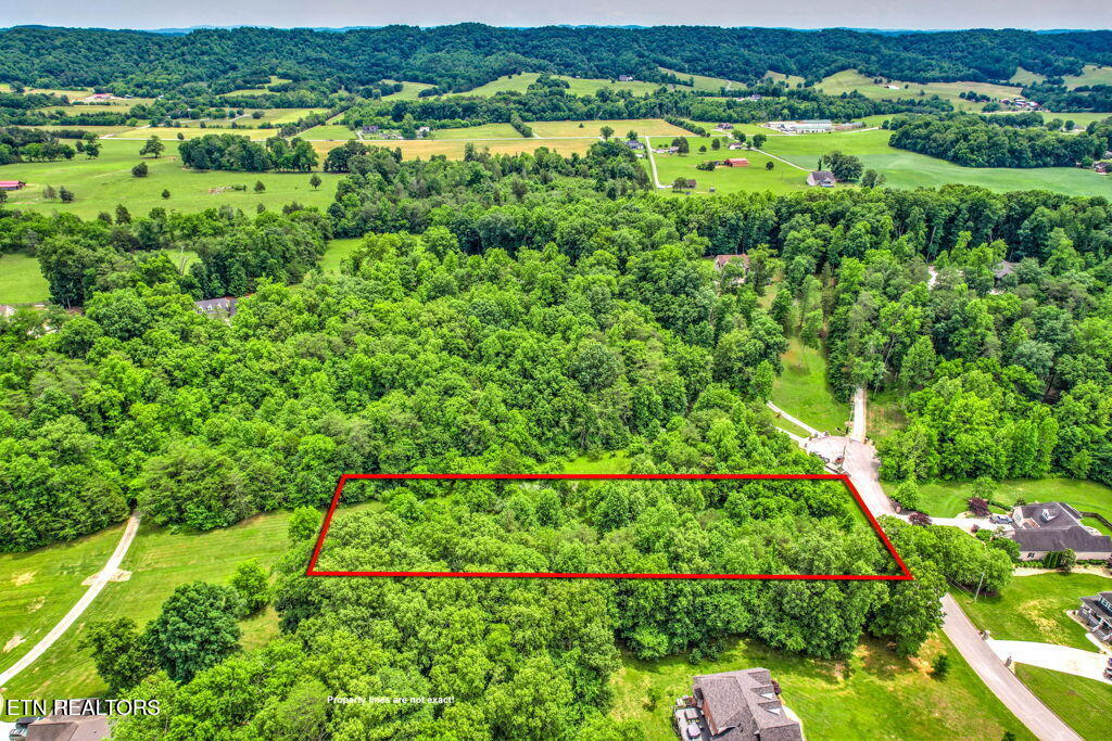 Stone Ridge Drive Andersonville TN 37705
