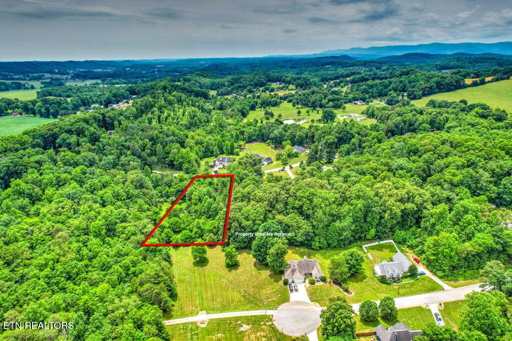 Stone Ridge Drive Andersonville TN 37705