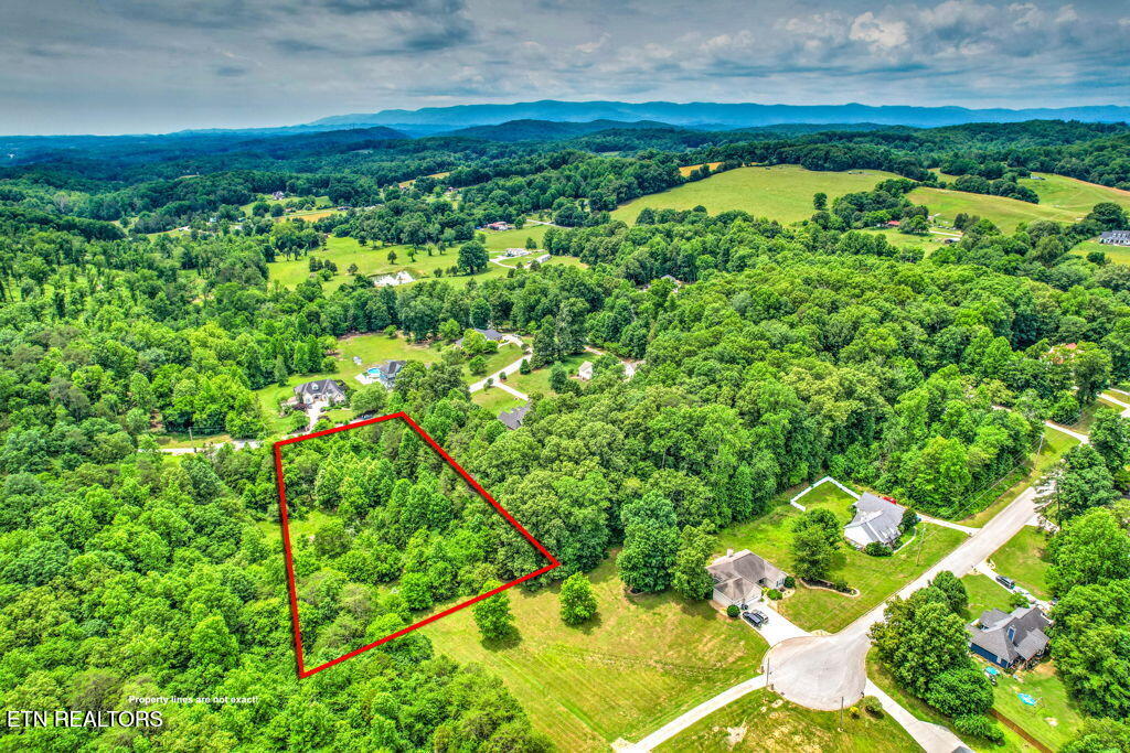 Stone Ridge Drive Andersonville TN 37705