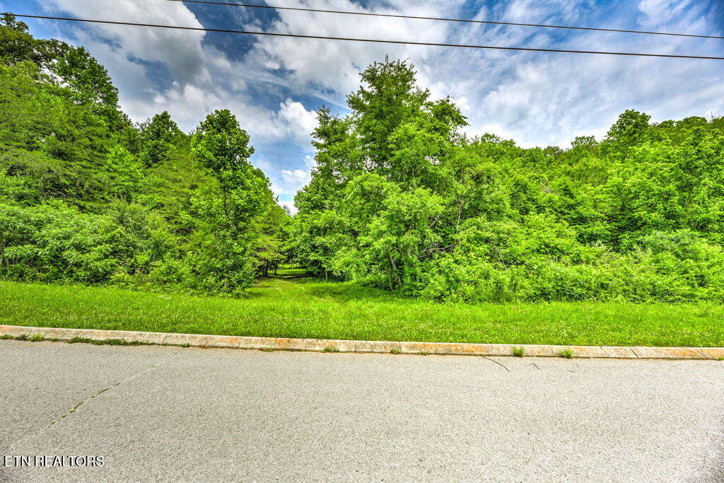 Stone Ridge Drive Andersonville TN 37705