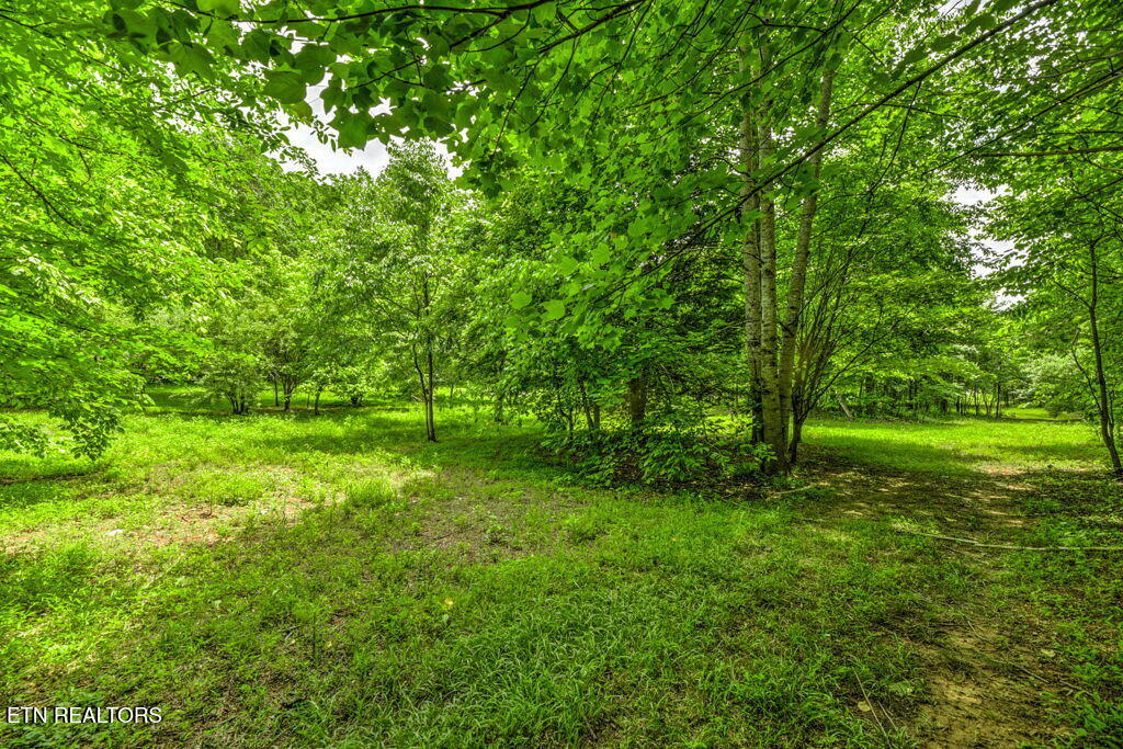 Stone Ridge Drive Andersonville TN 37705