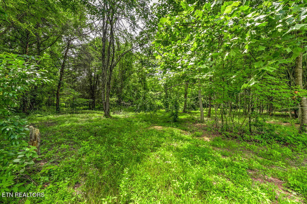Stone Ridge Drive Andersonville TN 37705