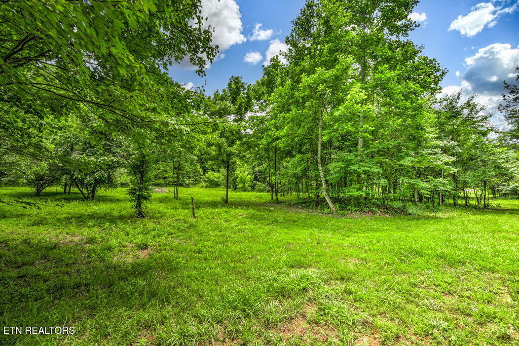Stone Ridge Drive Andersonville TN 37705