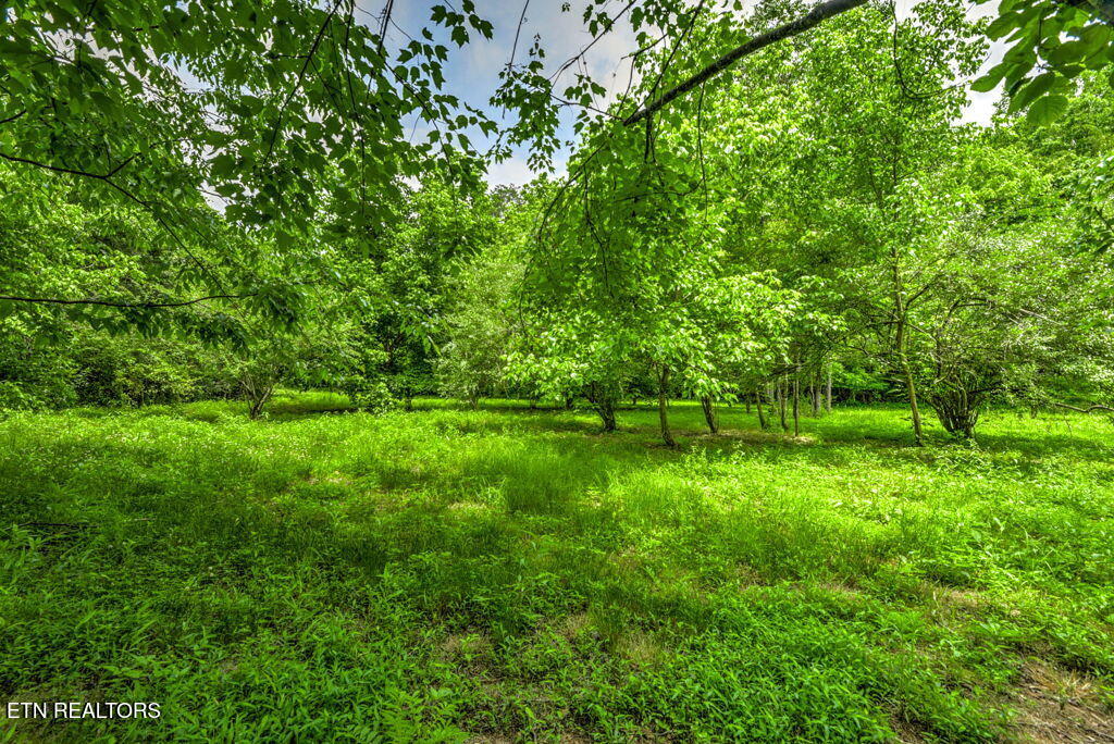 Stone Ridge Drive Andersonville TN 37705