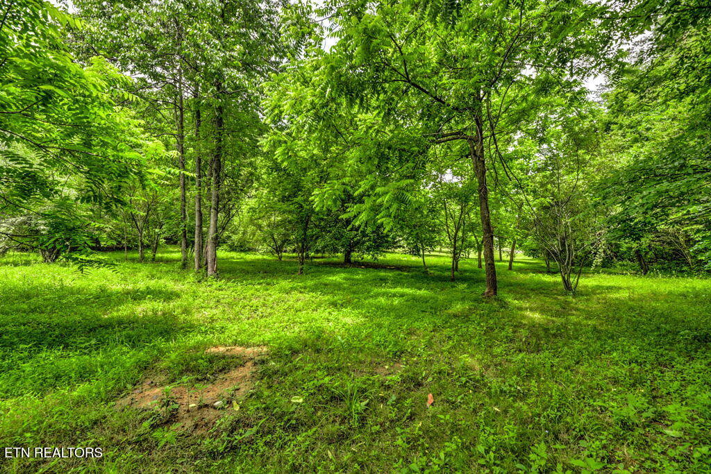 Stone Ridge Drive Andersonville TN 37705