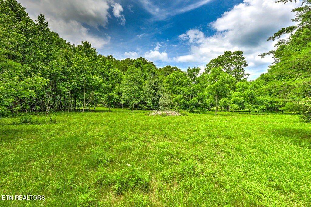 Stone Ridge Drive Andersonville TN 37705