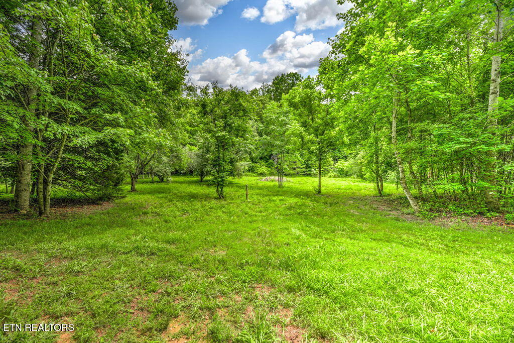 Stone Ridge Drive Andersonville TN 37705