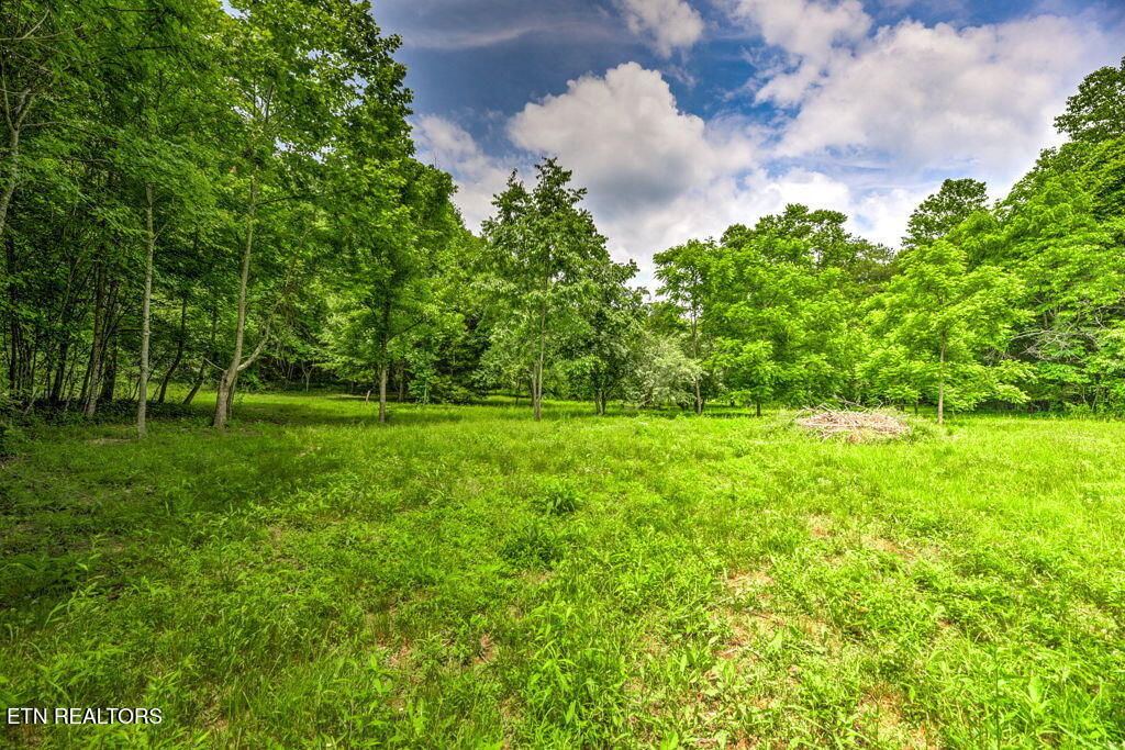 Stone Ridge Drive Andersonville TN 37705