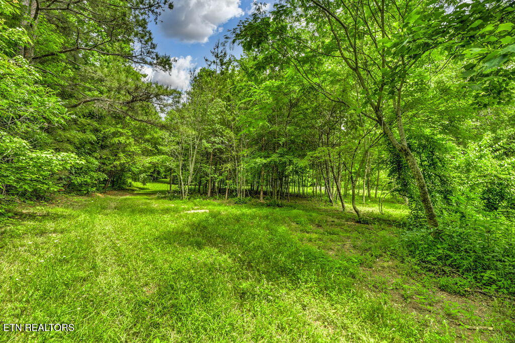 Stone Ridge Drive Andersonville TN 37705