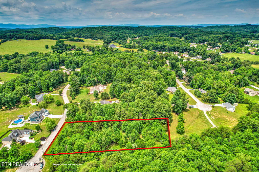 Stone Ridge Drive Andersonville TN 37705