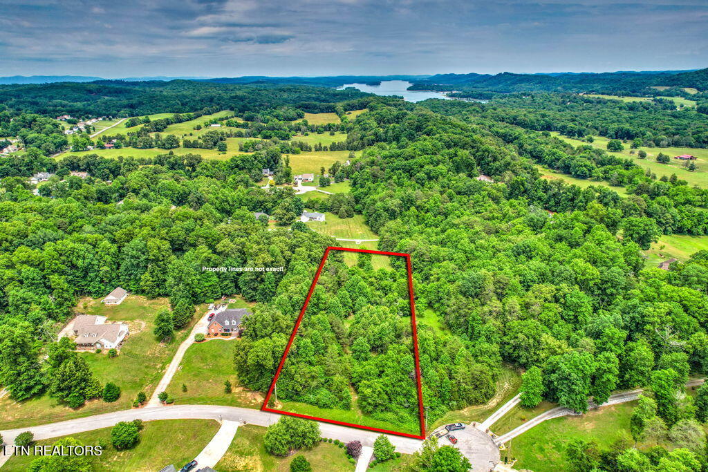 Stone Ridge Drive Andersonville TN 37705