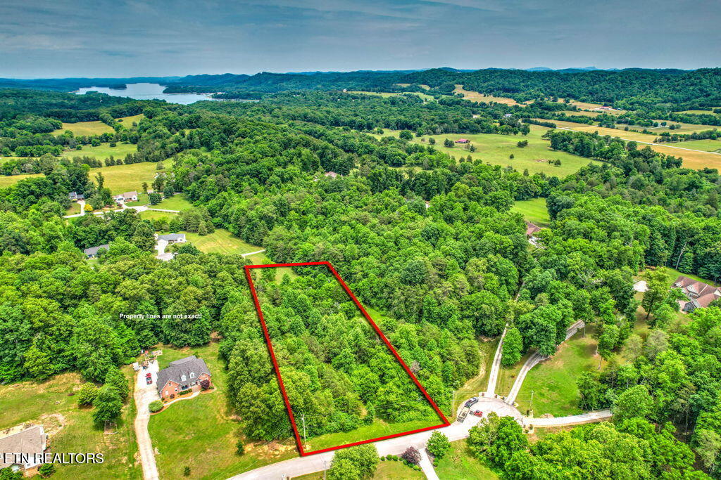 Stone Ridge Drive Andersonville TN 37705