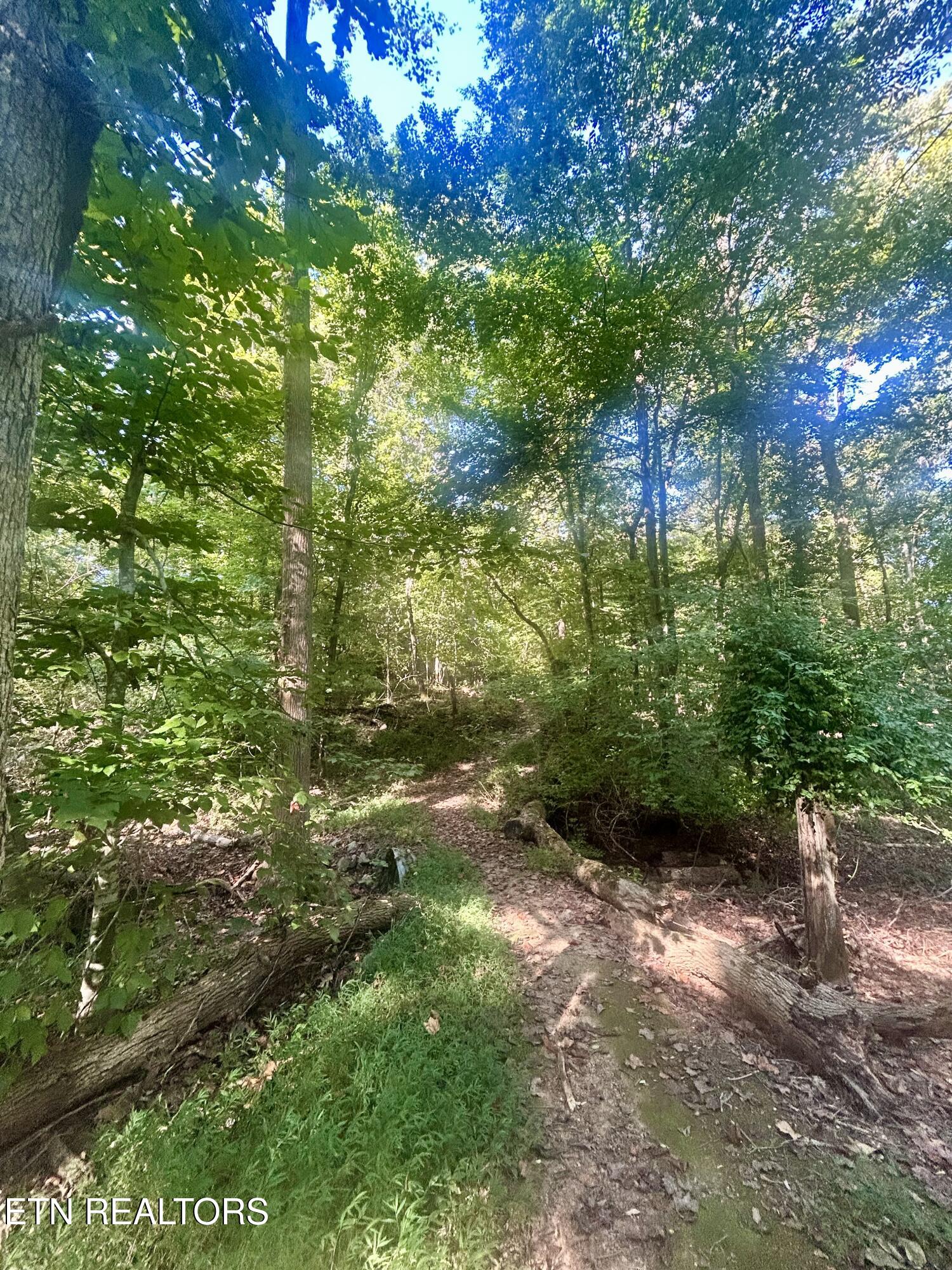 5336 Hickory Hollow Road Knoxville TN 37919