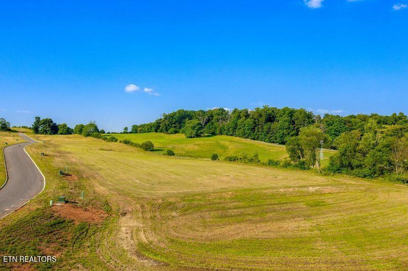 Lot 39 Meadow Vista Way White Pine TN 37890