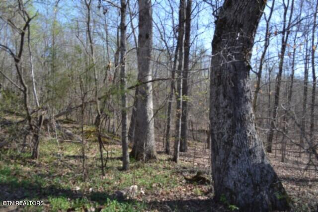 87+/- Boles Road Hilham TN 38568
