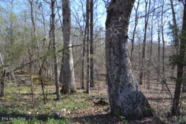 87+/- Boles Road Hilham TN 38568