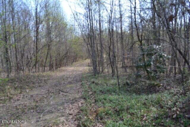 87+/- Boles Road Hilham TN 38568