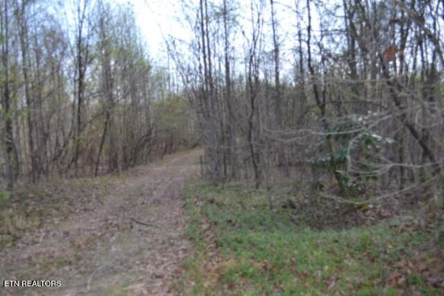 87+/- Boles Road Hilham TN 38568