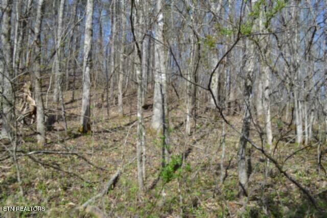 87+/- Boles Road Hilham TN 38568