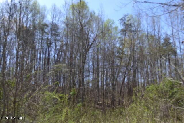 87+/- Boles Road Hilham TN 38568