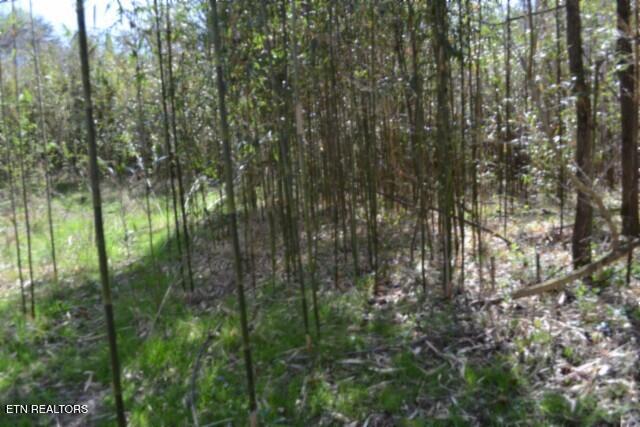 87+/- Boles Road Hilham TN 38568